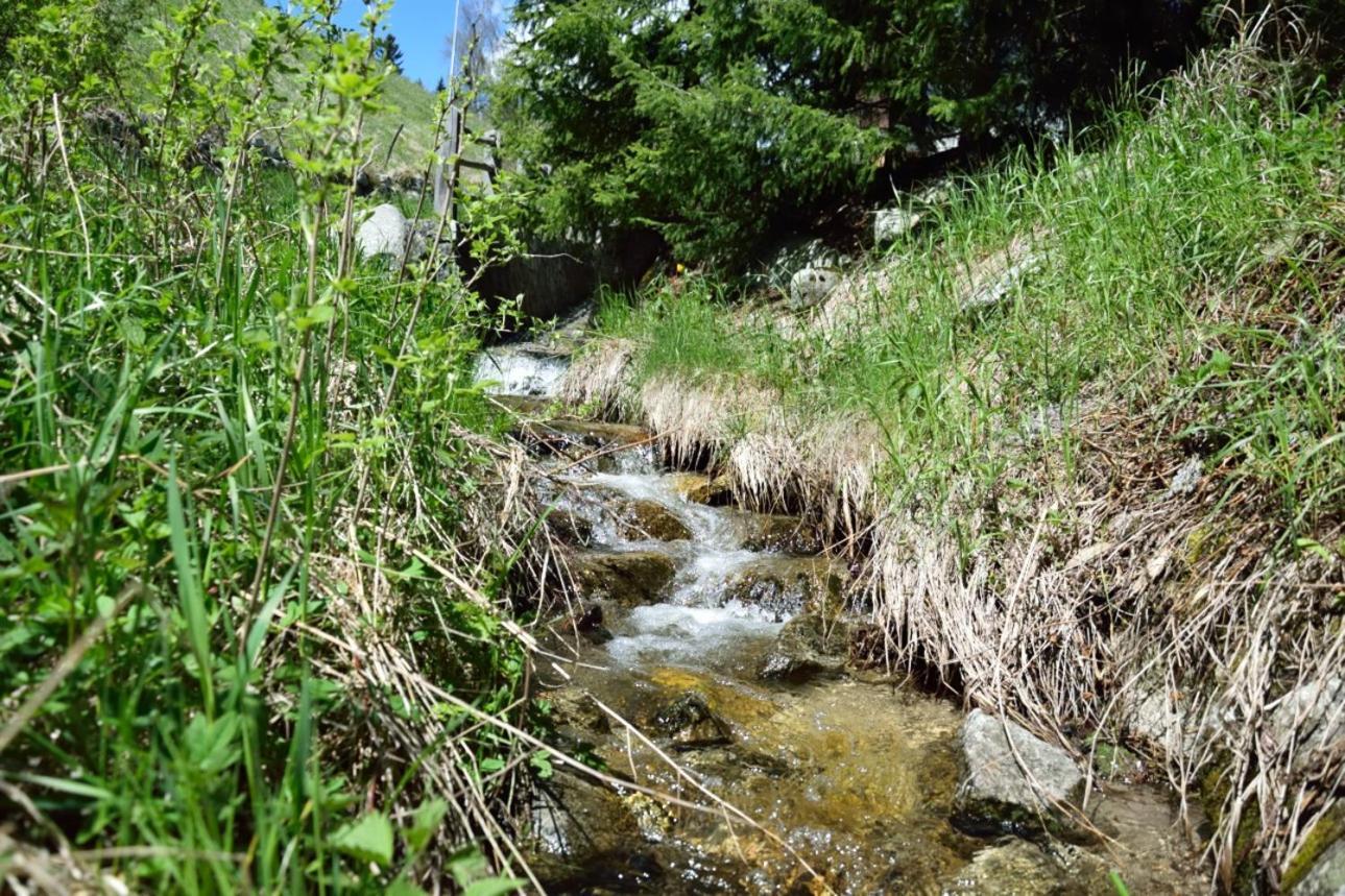 Traterhof-spinges Farm stay Rio di Pusteria